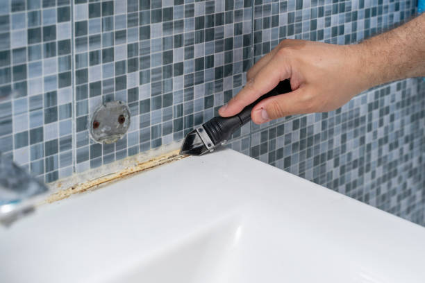 Best Black Mold Removal  in Sacramento, CA